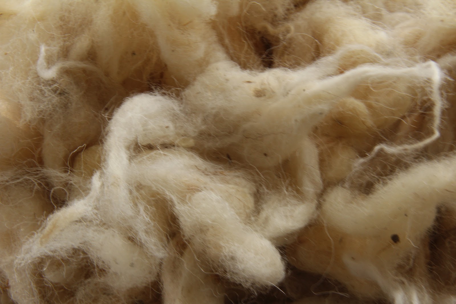 Cotone e lana, prezzi al massimo da 3 anni - Pambianconews