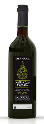 MONTEPUL_dentro