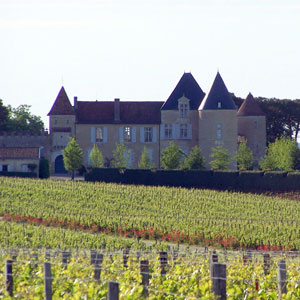 La cantina Chateau d’Yquem rinuncia al 2012