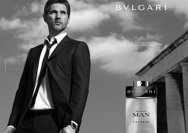 BVLman2013_DPS_600