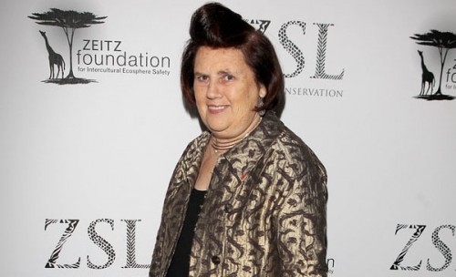 Suzy Menkes. Photo by Dave M. Benett/Getty Images 