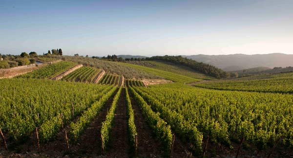 I best 50 vini italiani, al Biwa vince un Valpolicella
