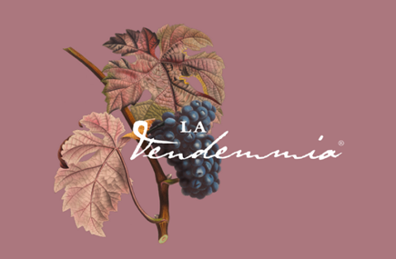 La Vendemmia torna in Montenapoleone