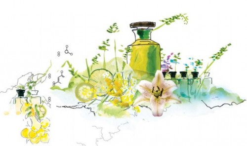 Givaudan
