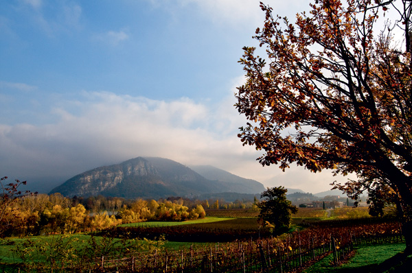 Reputazione in crescita per Franciacorta