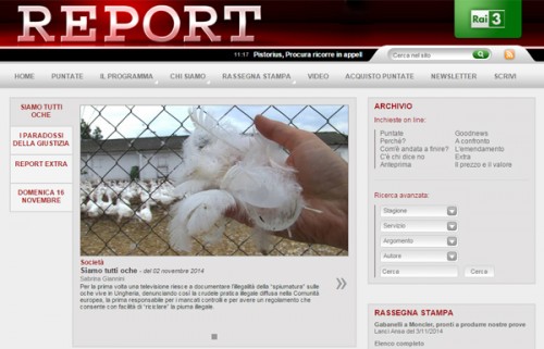 Frame del servizio dal sito web Report