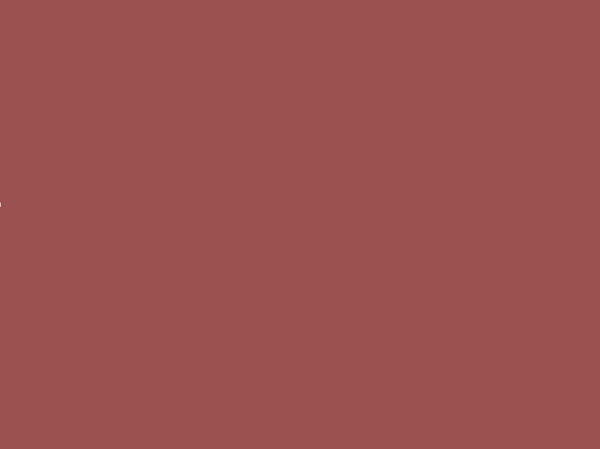 Il colore del 2015 sarà “Marsala”