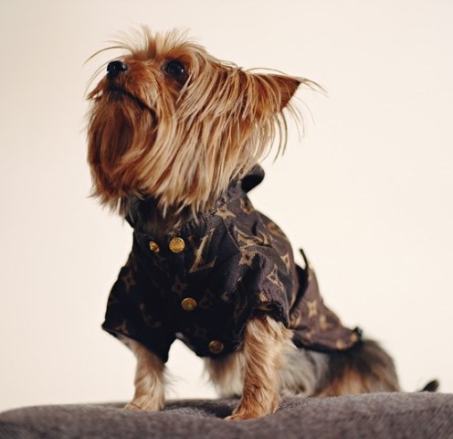 Londra celebra una Couture da cani