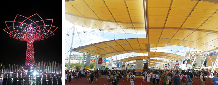 EXPO_alverodellavita_OK