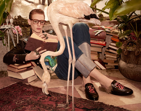 Gucci, pre-fall tra i fenicotteri