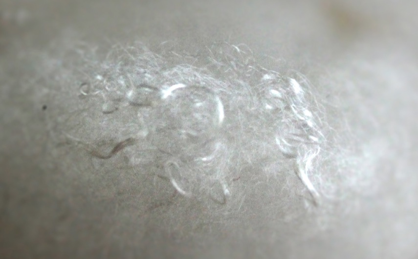 Thermore spinge sul green con Ecodown Fibers