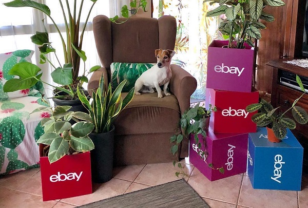 Ebay crea rete logistica in stile Amazon