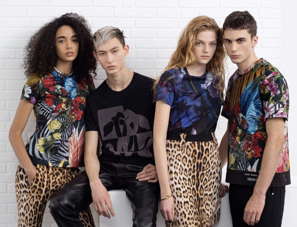 Roberto Cavalli verso Damac Properties