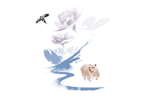 Kering, impatto ‘positivo’ su biodiversità entro 2025