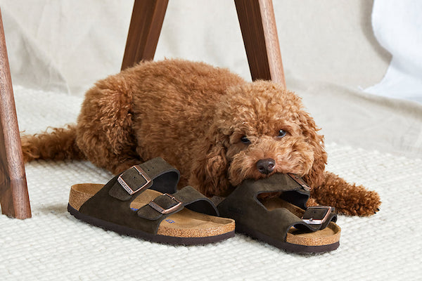 Birkenstock si avvicina a Cvc Capital per 5 mld $