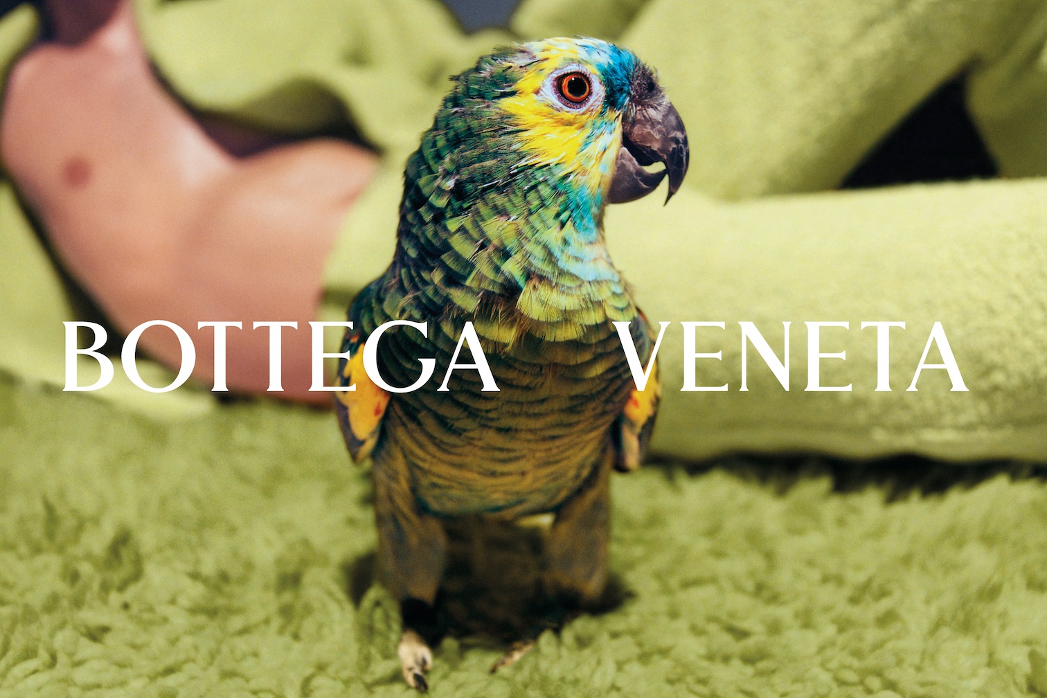 Bottega Veneta torna. Ma senza fronzoli digital