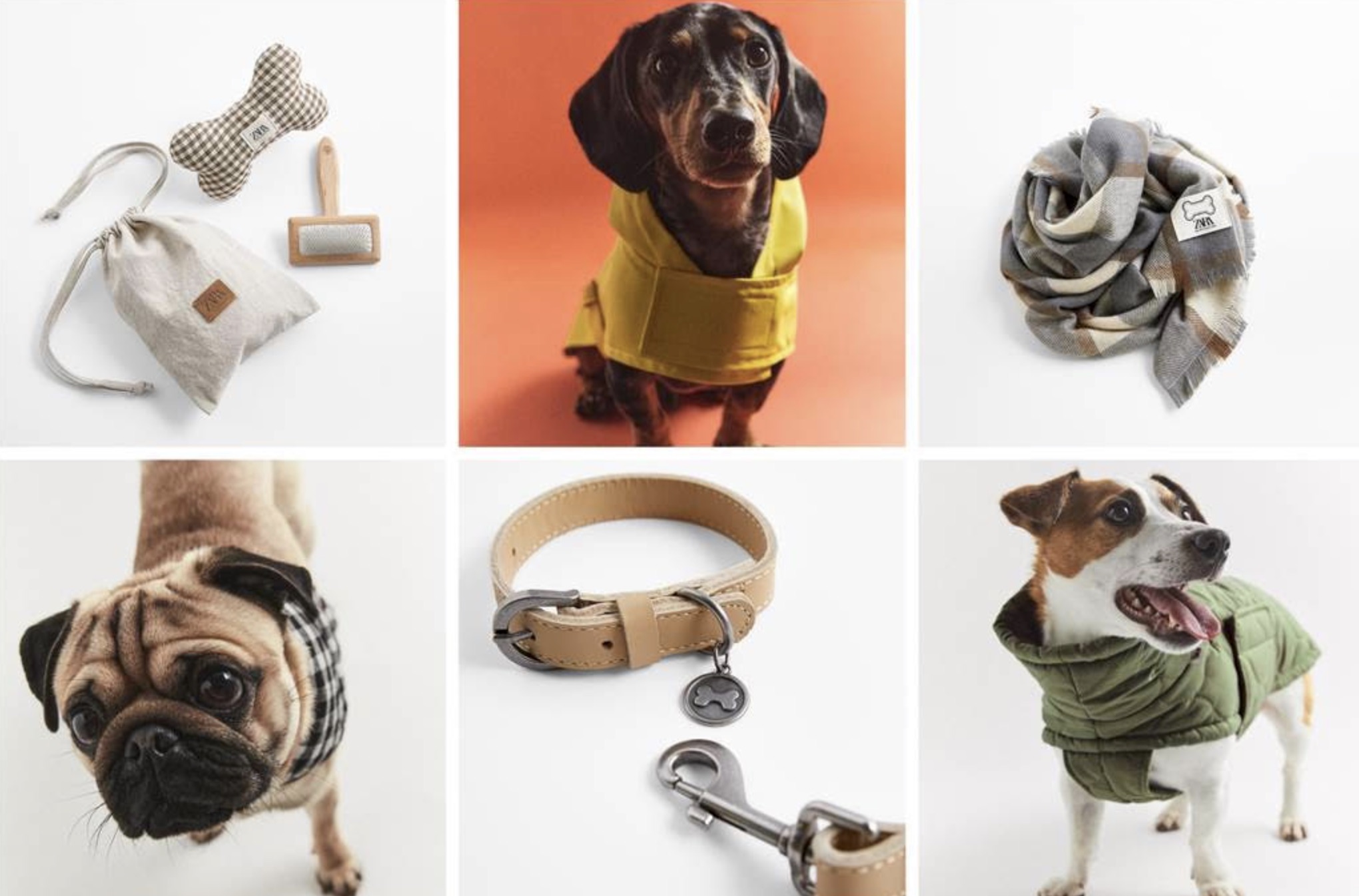 Zara fiuta il business del fashion per ‘Fido’
