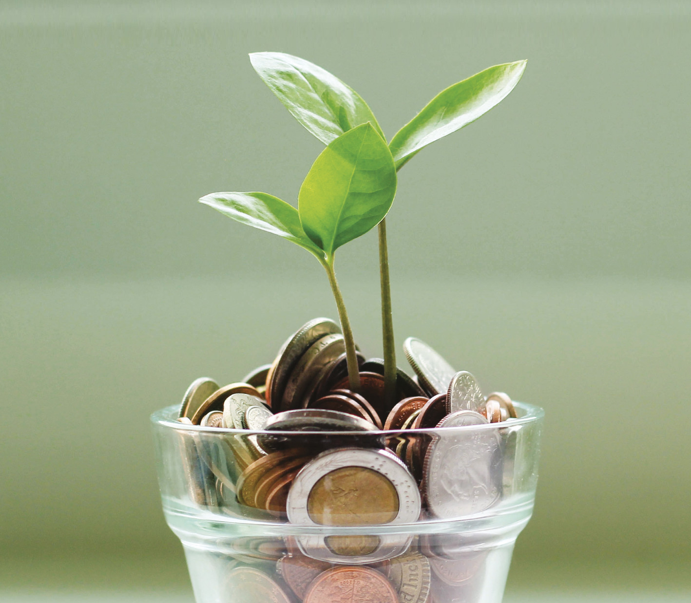 Finanziamenti e bond  per sostenere il lato green della moda