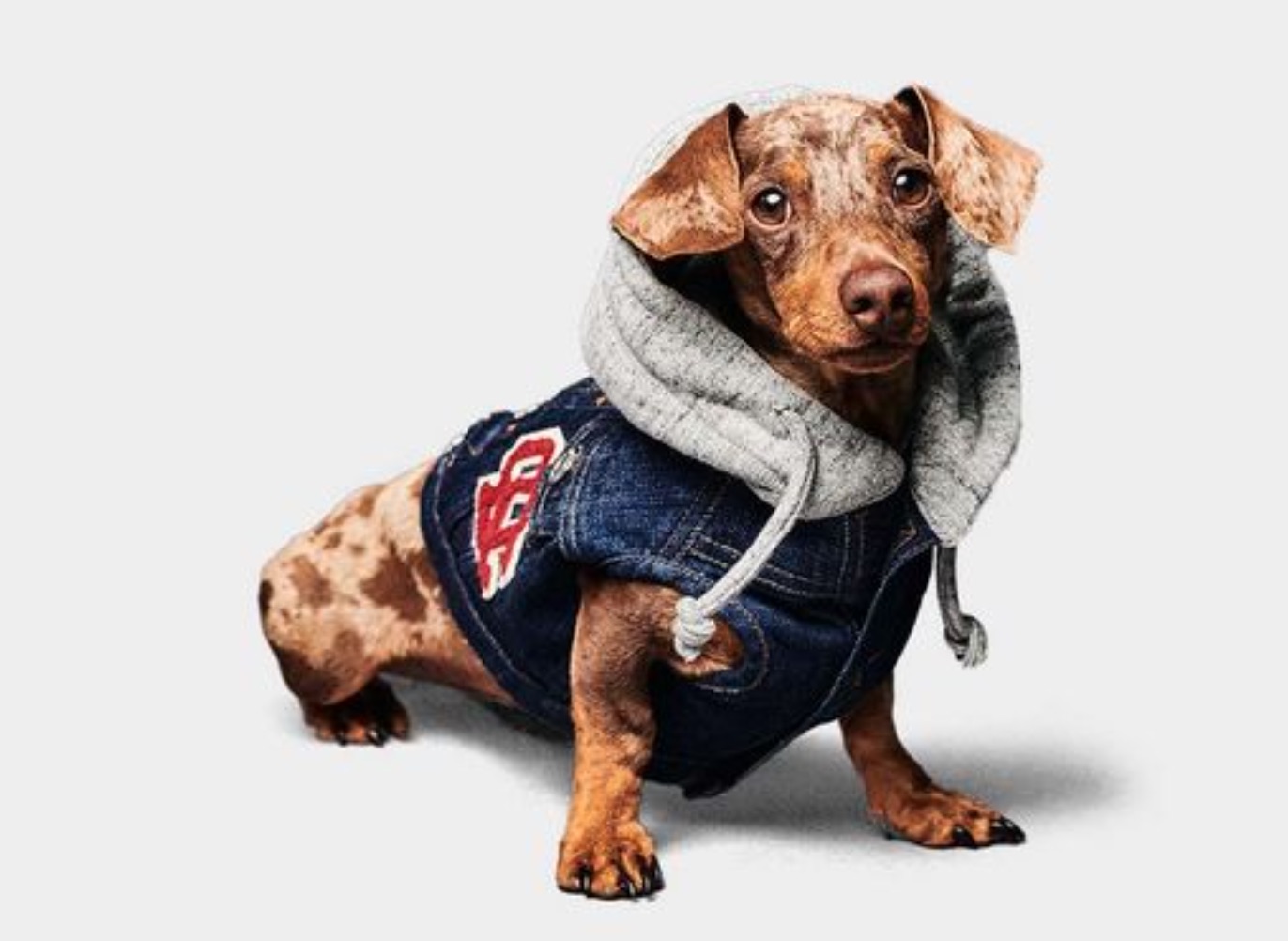 Lenet lancia primo luxury marketplace per Fido