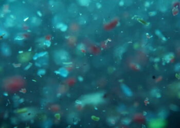 Patagonia e Samsung contro le microplastiche
