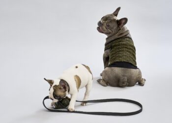 Liu Jo, accordo con Me Pet per la moda a quattro zampe
