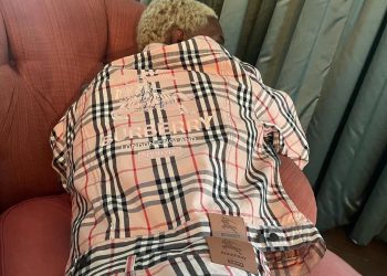 Burberry x Supreme, il co-branding è ufficiale