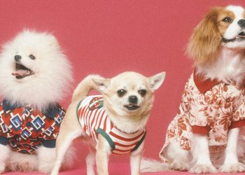 Gucci pensa agli amici a 4 zampe. Arrivano le proposte Pet
