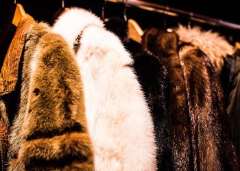 Fur goes green. La pelliccia scommette sulla tracciabilità