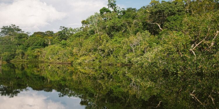 Carbonsink guida le aziende ad agire oggi verso il net-zero di domani