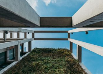 Lvmh, nuovi investimenti tra innovazione e sostenibilità