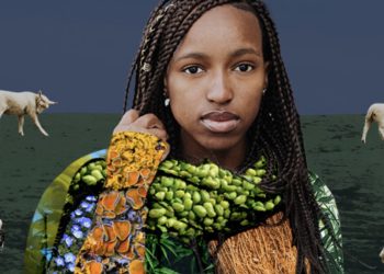 Peta lancia la challenge: 1 mln $ alla miglior lana vegana