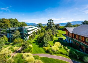 Richemont lancia Equirus, la piattaforma contro i furti