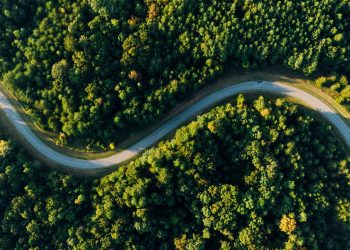 4sustainability guida le aziende del fashion & luxury nella transizione alla sostenibilità
