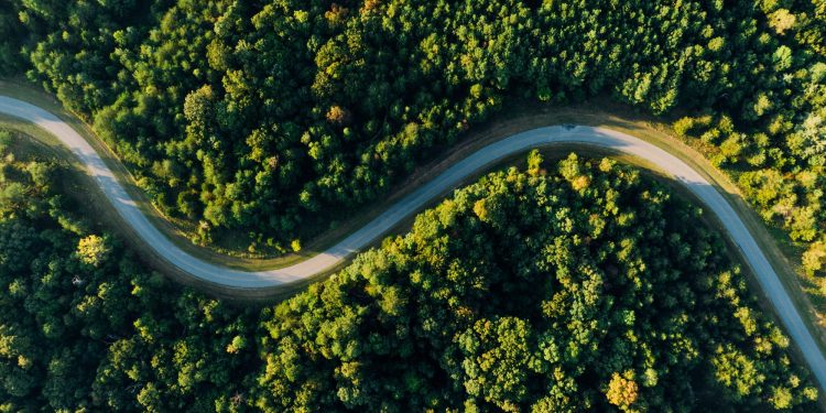 4sustainability guida le aziende del fashion & luxury nella transizione alla sostenibilità