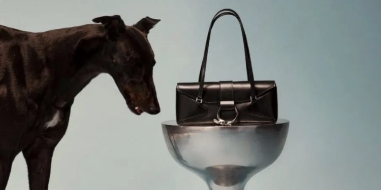Miroglio pronto a soccorrere il levriero Trussardi?