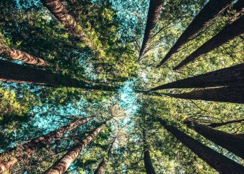 Il lusso fa sistema per la decarbonizzazione: al via il protocollo comune per i fornitori di The Fashion Pact