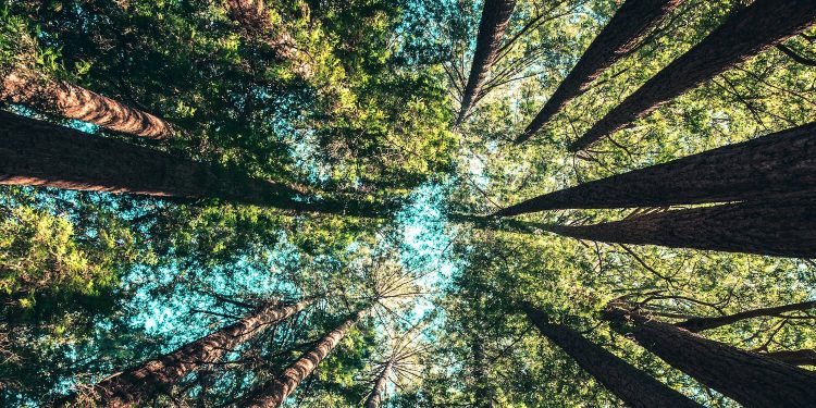 Il lusso fa sistema per la decarbonizzazione: al via il protocollo comune per i fornitori di The Fashion Pact