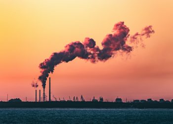La sostenibilità pesa su lana e cotone: profitti a -4% entro il 2030 per le aziende della moda