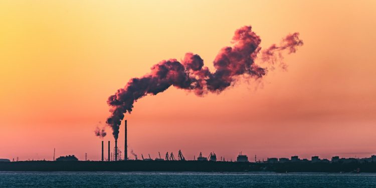 La sostenibilità pesa su lana e cotone: profitti a -4% entro il 2030 per le aziende della moda