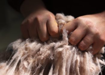 Mantellassi (Manteco): “Primo semestre a +15%. In fiera portiamo il Casentino”