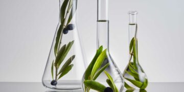 Sophim acquisisce Novastell e si espande nella nutraceutica